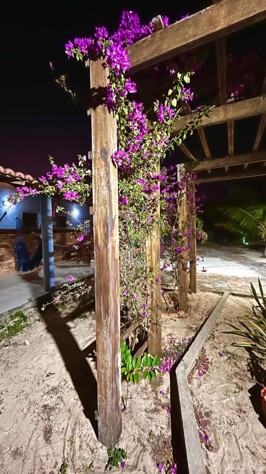 הוילה לואיס קורייה Casa Pierot מראה חיצוני תמונה